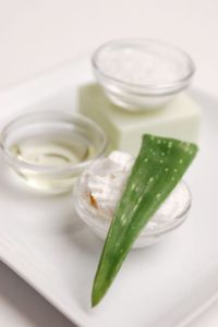 Aloe Vera